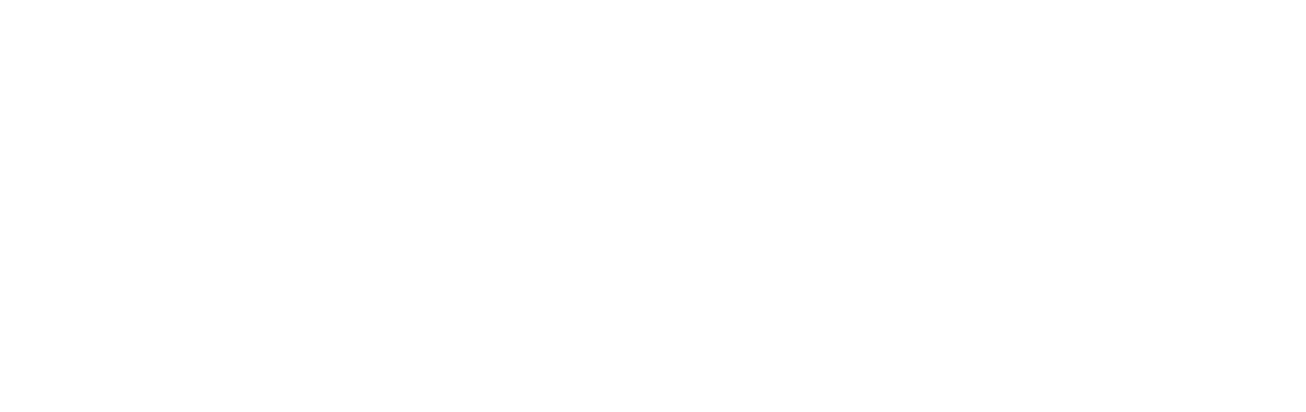 Participating shul logo 3