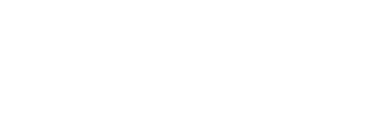 Participating shul logo 5