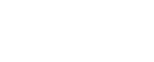 Participating shul logo 9