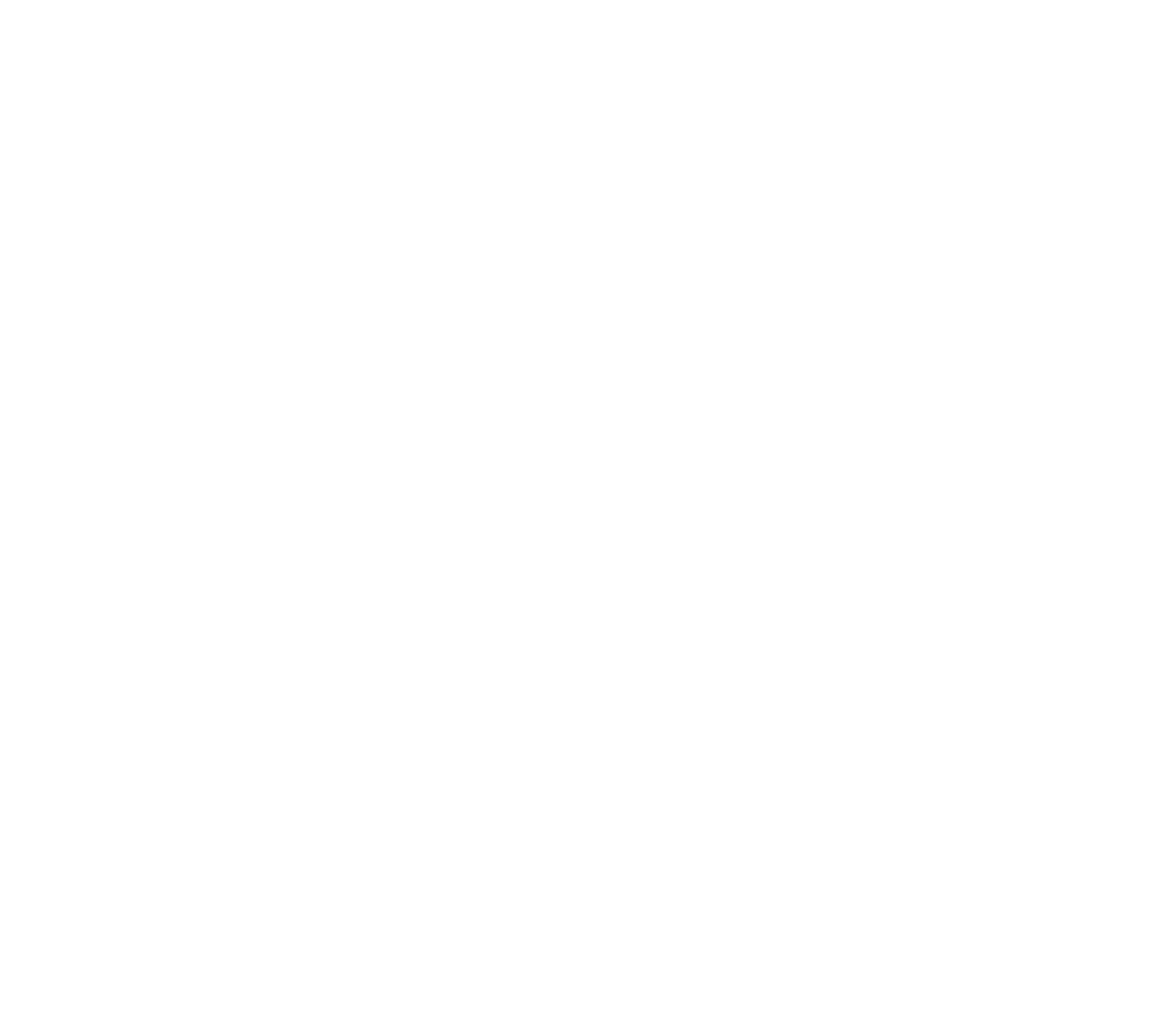 Participating shul logo 11