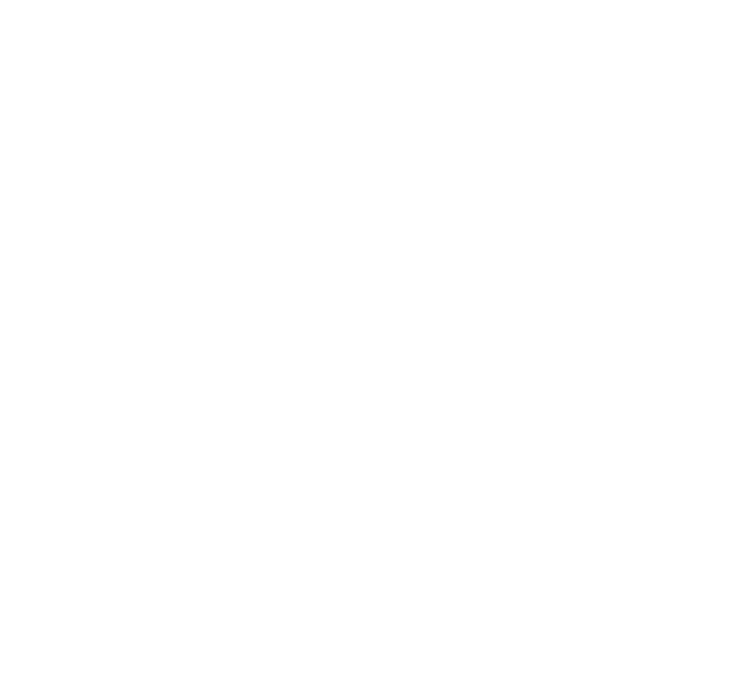 Participating shul logo 12